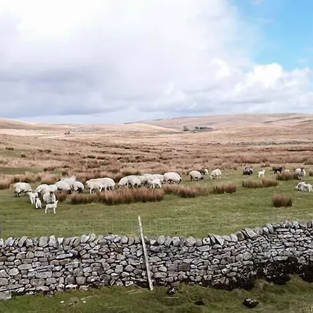 Дом отдыха Wenning Bank Клэпхэм