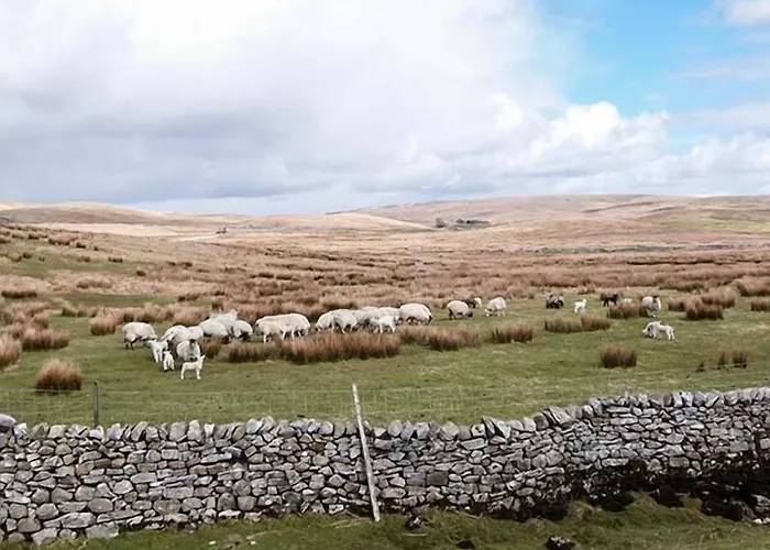 Vakantiehuis Wenning Bank Clapham (North Yorkshire)